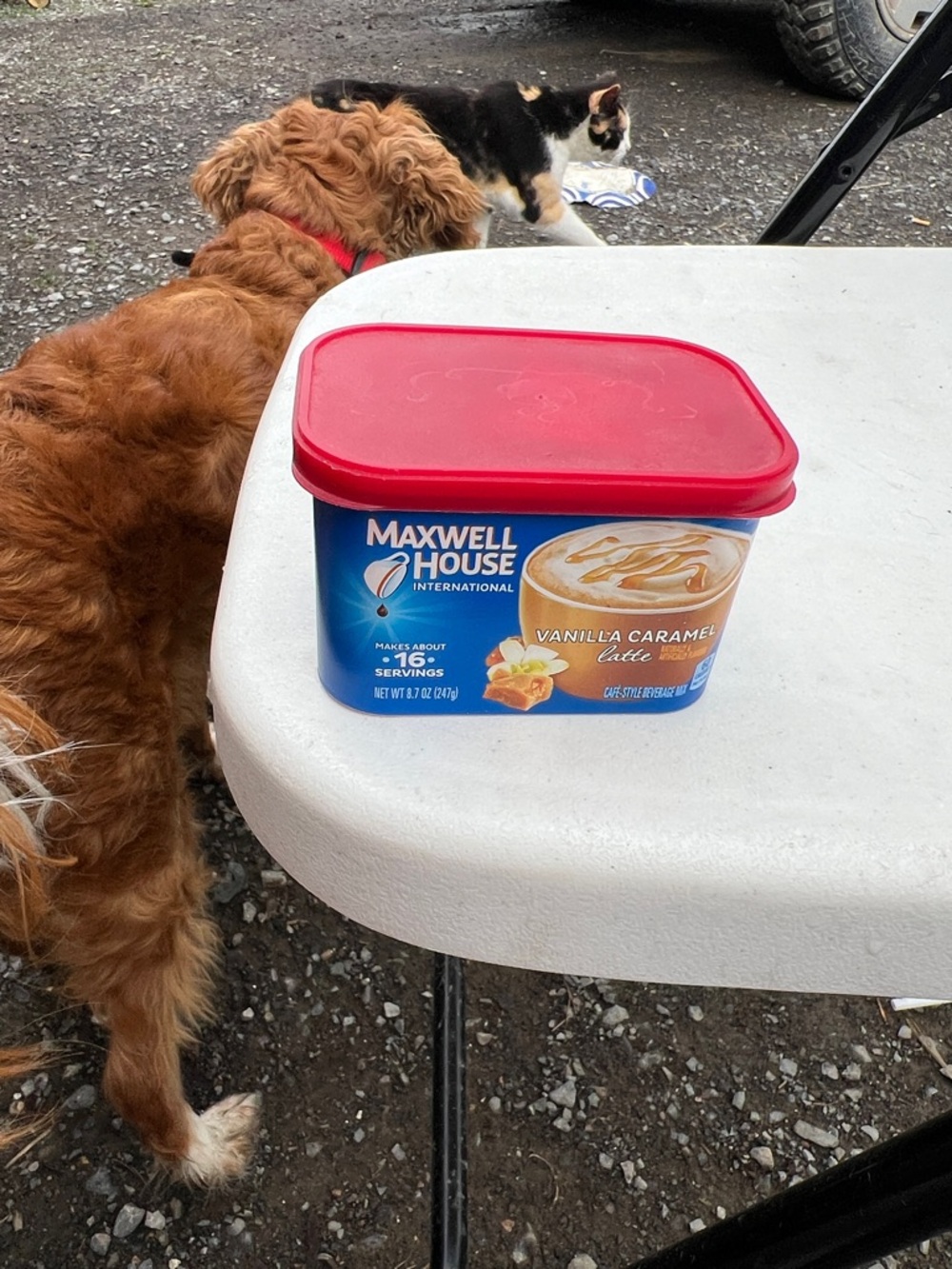 Maxwell House Vanilla Caramel Latte Coffee Mix - Blue & Red Container